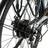 Bicicleta Elétrica Smartgyro SG27-372 Cinzento Titânio 250 W