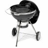 Churrasco Portátil Fieldmann FZG 1017 Metal Aço