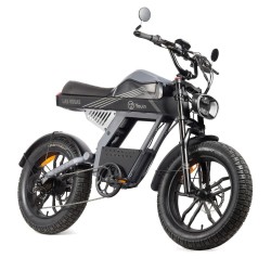Bicicleta Elétrica Youin BK7100 LAS VEGAS 250 W 20"