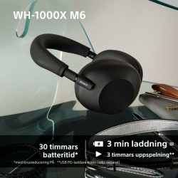 Auriculares Bluetooth Sony WH1000XM6S.CE7 Preto Cinzento