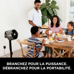Ventilador de Pé Shark FA300EU
