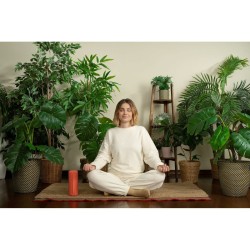 Altavoz Bluetooth Portátil Loewe Rojo