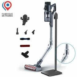 Aspirador Escova EZIclean 450 W