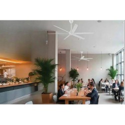 Ventilateur de plafond professionnel Milano Design 6 pales Eco Fresh Air HVLS