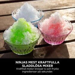 Bol mixeur NINJA Bleu 570 ml