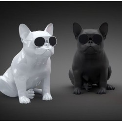 Haut-Parleur Portable Jarre Technologies AeroBull XS1 Glossy White Bluetooth