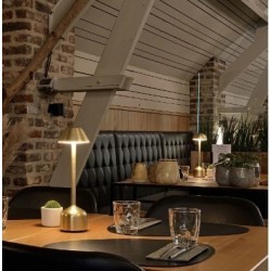 Lampada da tavolo Imagilights Led Demoiselle Tall Dome Gold