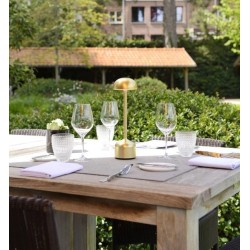 Lampada da tavolo Imagilights Led Demoiselle Tall Dome Gold