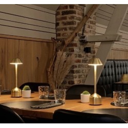 Table Light Imagilights Led Demoiselle Tall Conical Copper