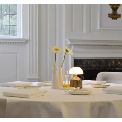 Tischleuchte Imagilights Led Demoiselle Kleine Kuppel Gold