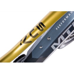 Vélo électrique VTT MTF SUV 29 pouces 900Wh 36V/25Ah Cadre 21'