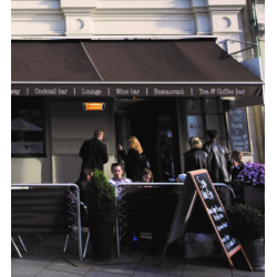 Heliosa HD 77 Calentador Radiante 2000W Mando a Distancia Radio Negro