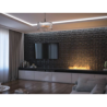 Infire 3L Insert 1200 Bioethanol Burner com 2 unidades de vidro