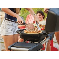 Napoleon TravelQ PRO285X barbecue a gas con carrello pieghevolearrello pieghevole