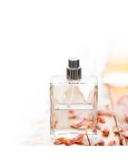 Perfumaria | Cosmética